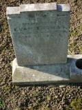 image of grave number 239502